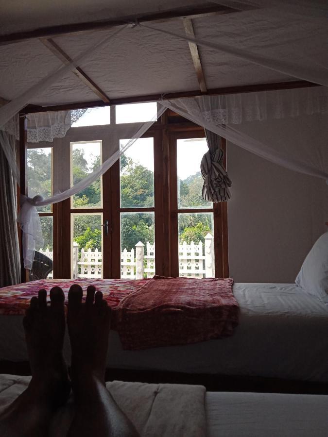 Village Nest إيلا المظهر الخارجي الصورة