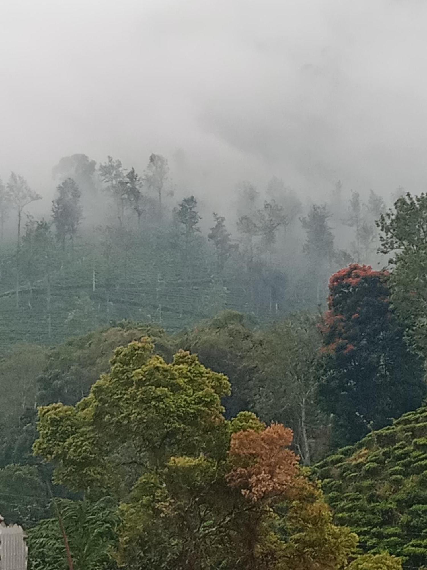 Village Nest إيلا المظهر الخارجي الصورة