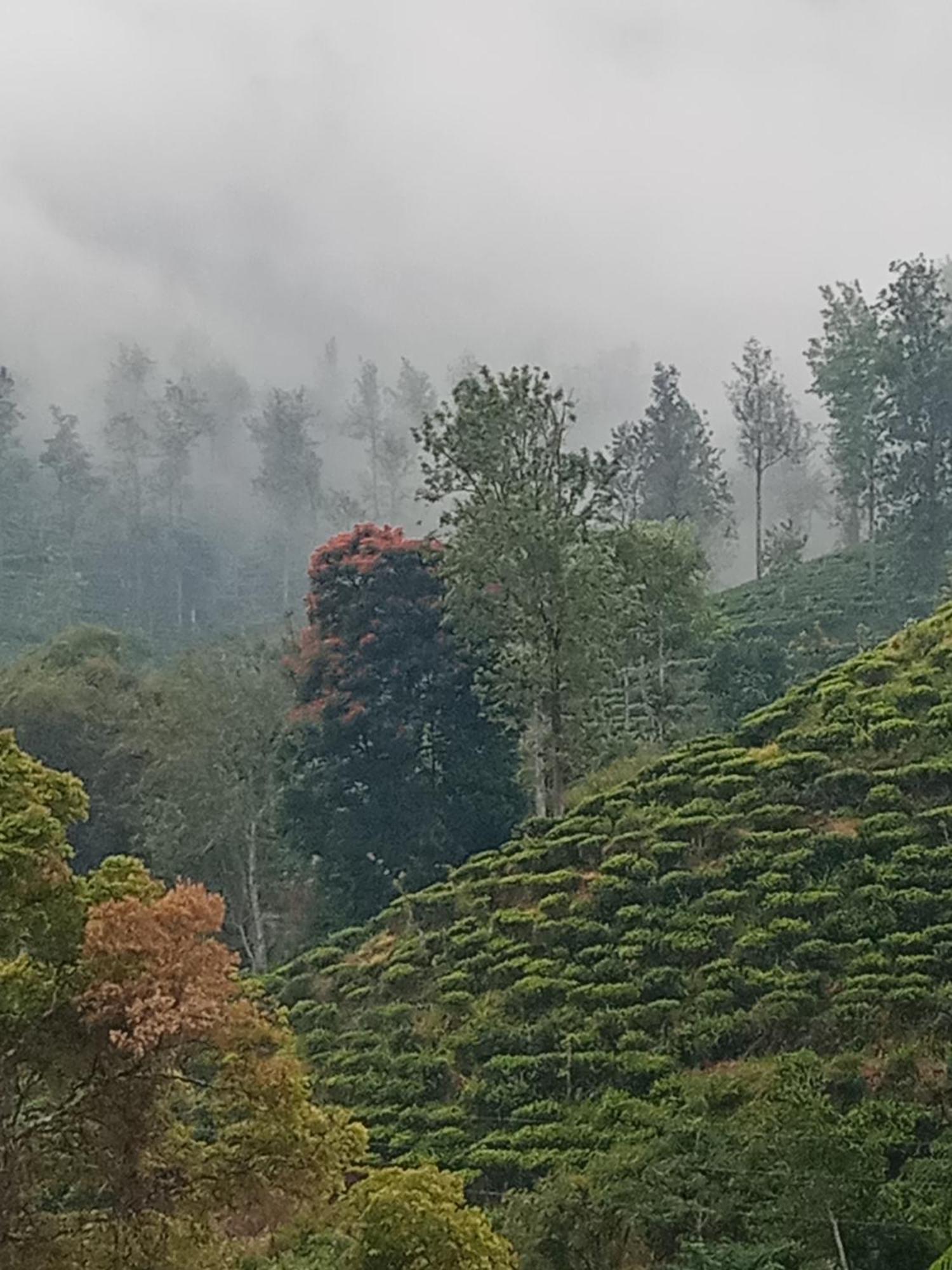 Village Nest إيلا المظهر الخارجي الصورة