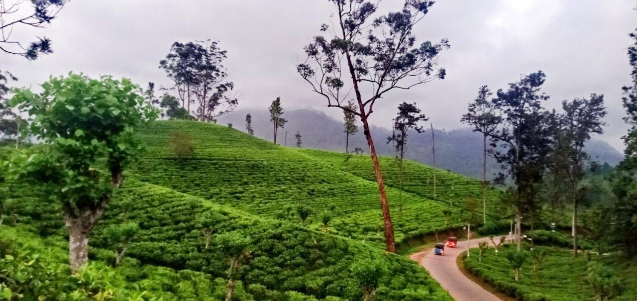Village Nest إيلا المظهر الخارجي الصورة