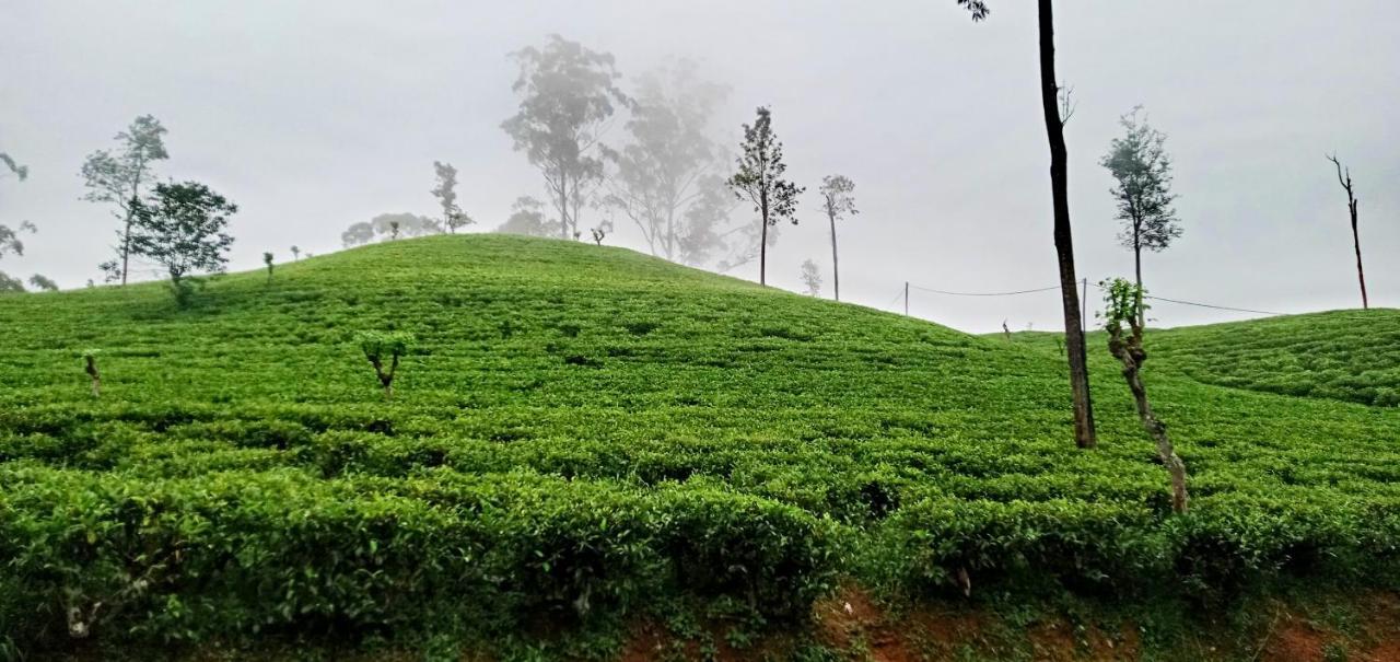 Village Nest إيلا المظهر الخارجي الصورة